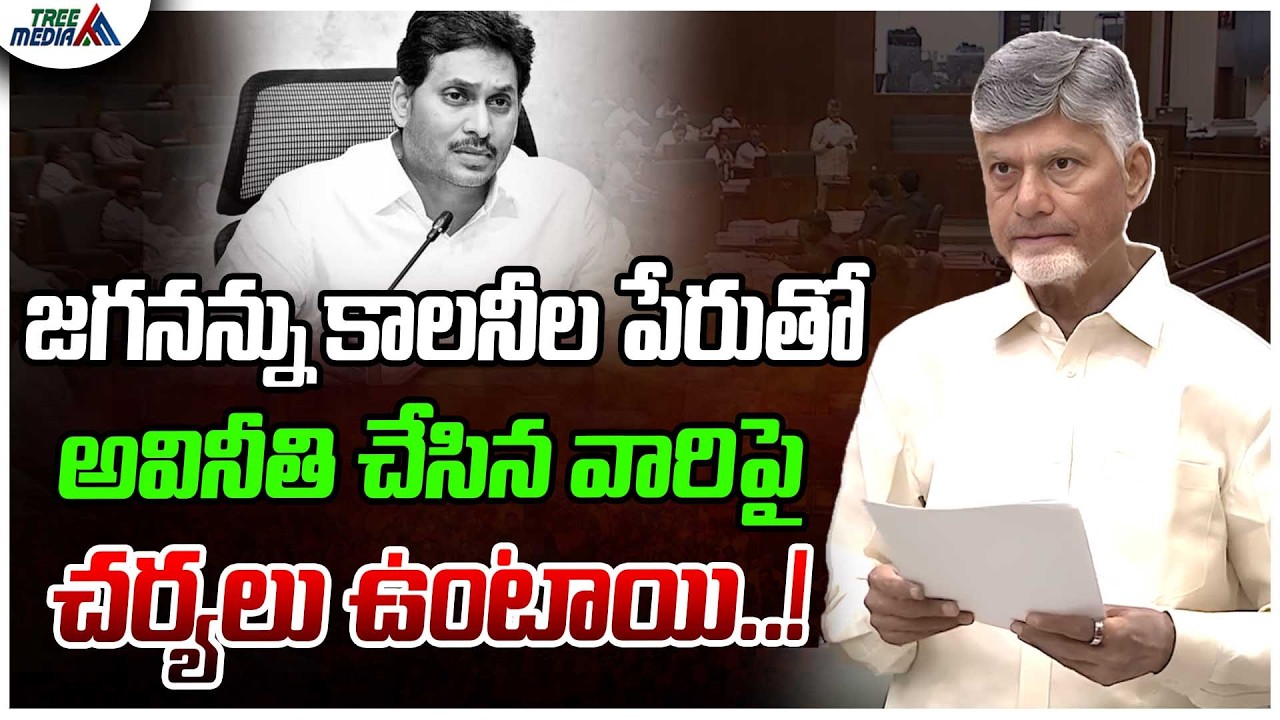 AP CM Chandrababu Naidu Speech In Legislative Assembly | Pawan Kalyan | Ys Jagan | AP News
