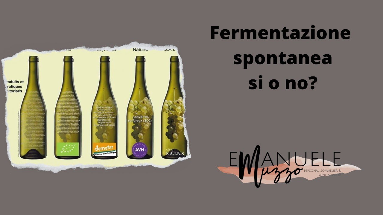 Approfondimento. La Fermentazione Spontanea SI o NO?