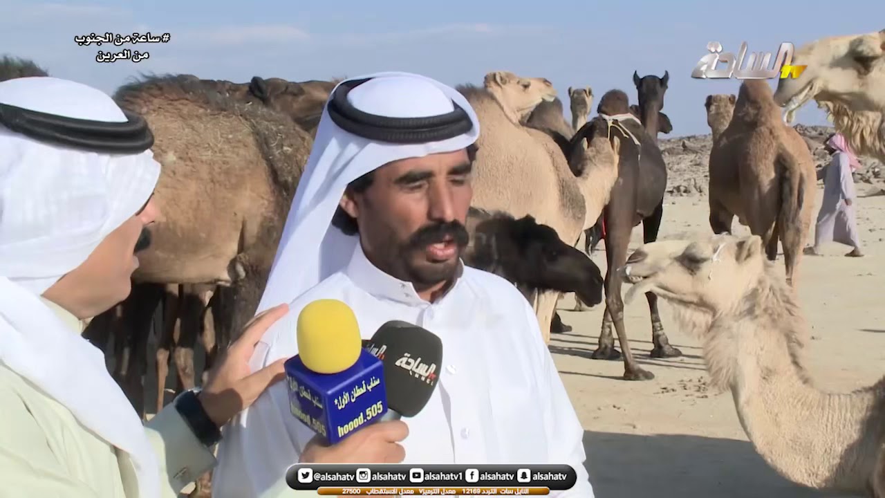 برنامج ساعه من الجنوب من مركز العرين