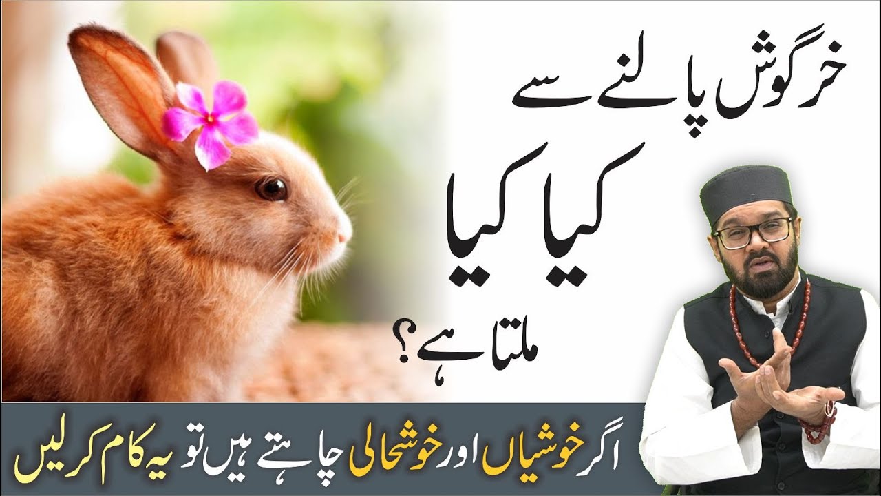 Khargosh Palne Se Kya Hota Hai | Rabbit Palna In Islam | Dr. Fahad Artani Roshniwala | Roshni Centre