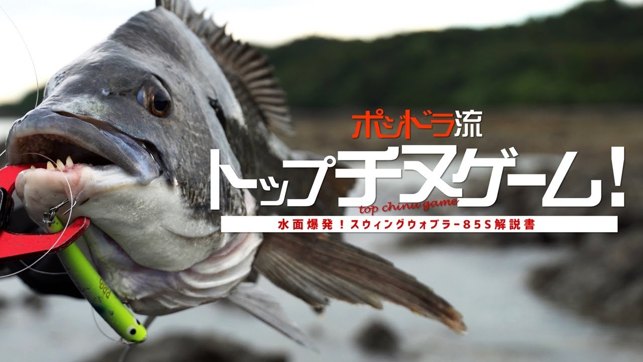 ポジドラ流 トップチヌゲーム！