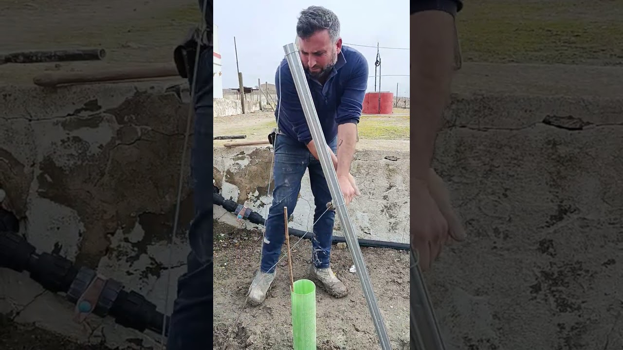 Alambrado #viña #viticultura #vitivinicultura #vino  #campiña #jerez #olivos 