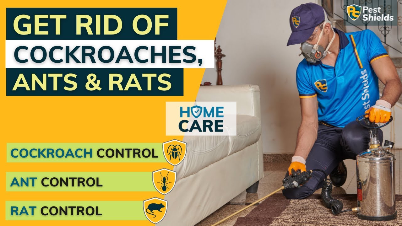 Home Pest Control | Cockroaches🪳, Ants🐜 & Rats🐀 Control | 3-in-1 HomeCare Package | Pest Shields