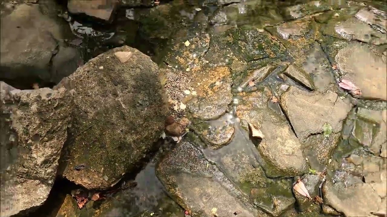 If Not Filmed, Everyone Would Still Believe It!! Metal Detectorist Finds Secret Tunnel Full of Coins