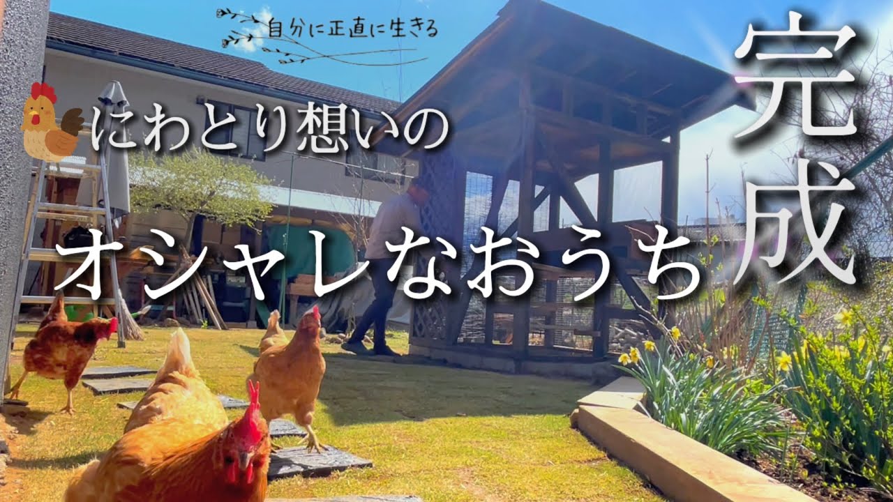 【自分に正直に生きる】画期的なニワトリ小屋完成！/圧巻！満開の桃畑🌸/お散歩コールに飛んでくるうちの子たち