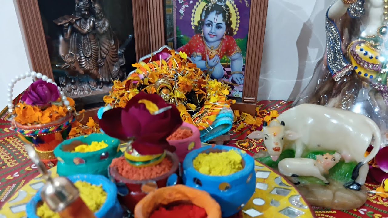 Rashi's creativity and cooking is live