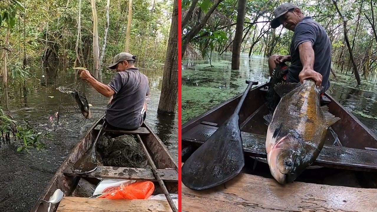 Pesca ribeirinha com meu pai no Amazonas…malhadeira no igapó