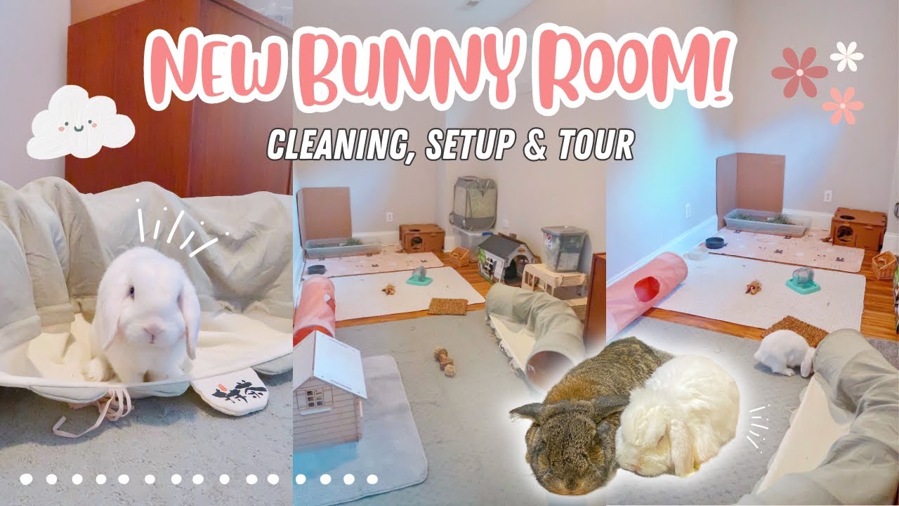 NEW BUNNY ROOM! 💗🐰 | Cleaning, Setup & Tour