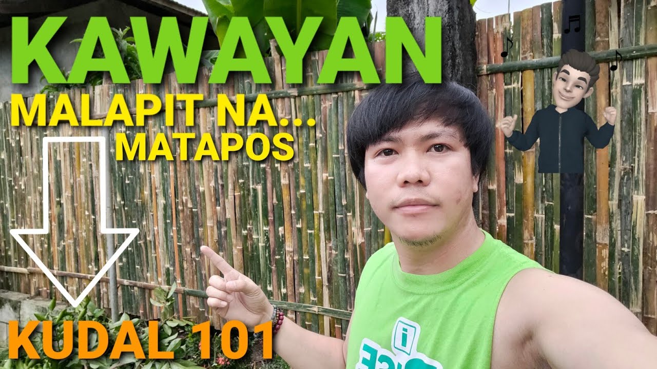 BAMBOO FENCE BEST IDEA PART 2 | PV PT.5