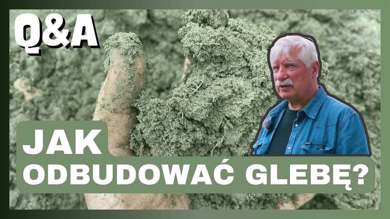 💎Czy można zwiększyć żyzność GLEBY na piachu? Dbajmy o próchnicę! Porady dr Próchnickiego | e-pole
