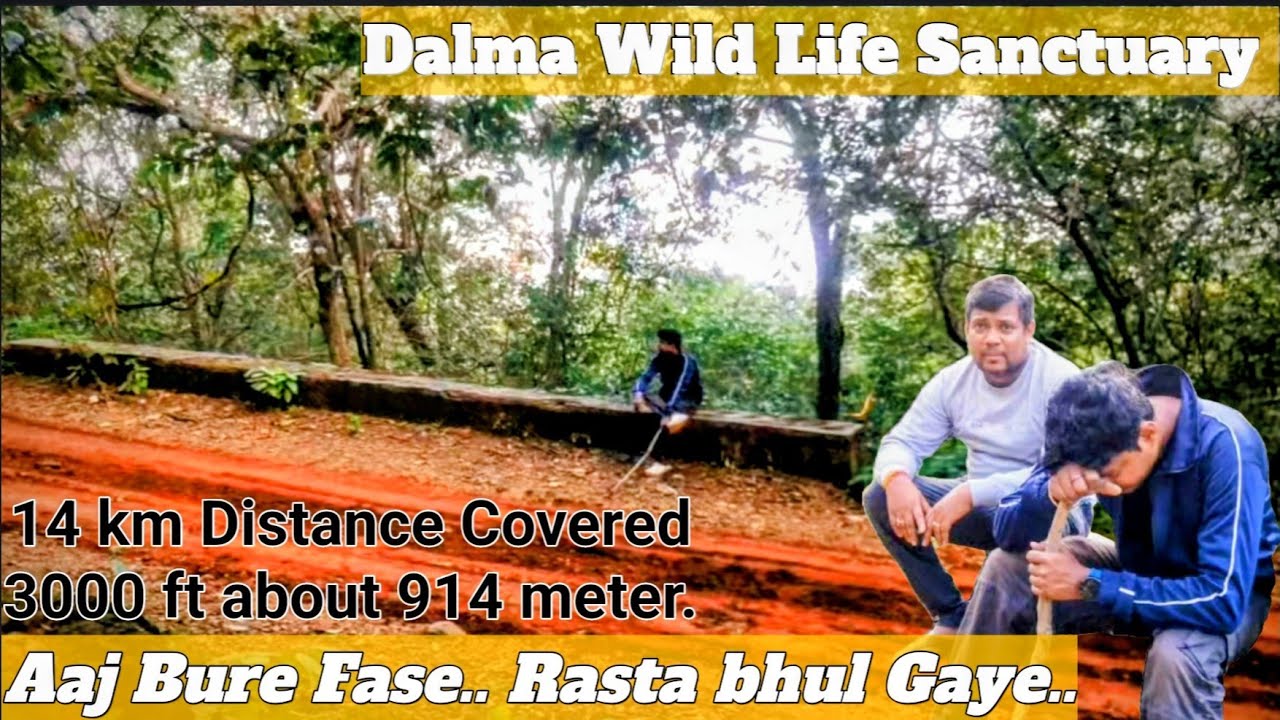 EP -3 | Finally Dalma Top Par Pahuch Gaye | Dalma Wild Life Sanctuary | @Aryanlife007 |