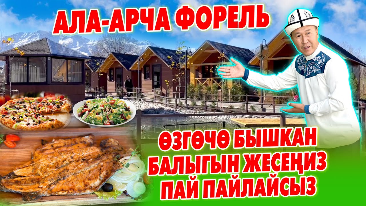 Эс АЛУУГА ѳтѳ СОНУН жай АЧЫЛДЫ ~ АЛА-АРЧА форель ~ КУУРУЛГАН анан МАНГАЛГА бышкан БАЛЫКТАРЫ ЗОР экен
