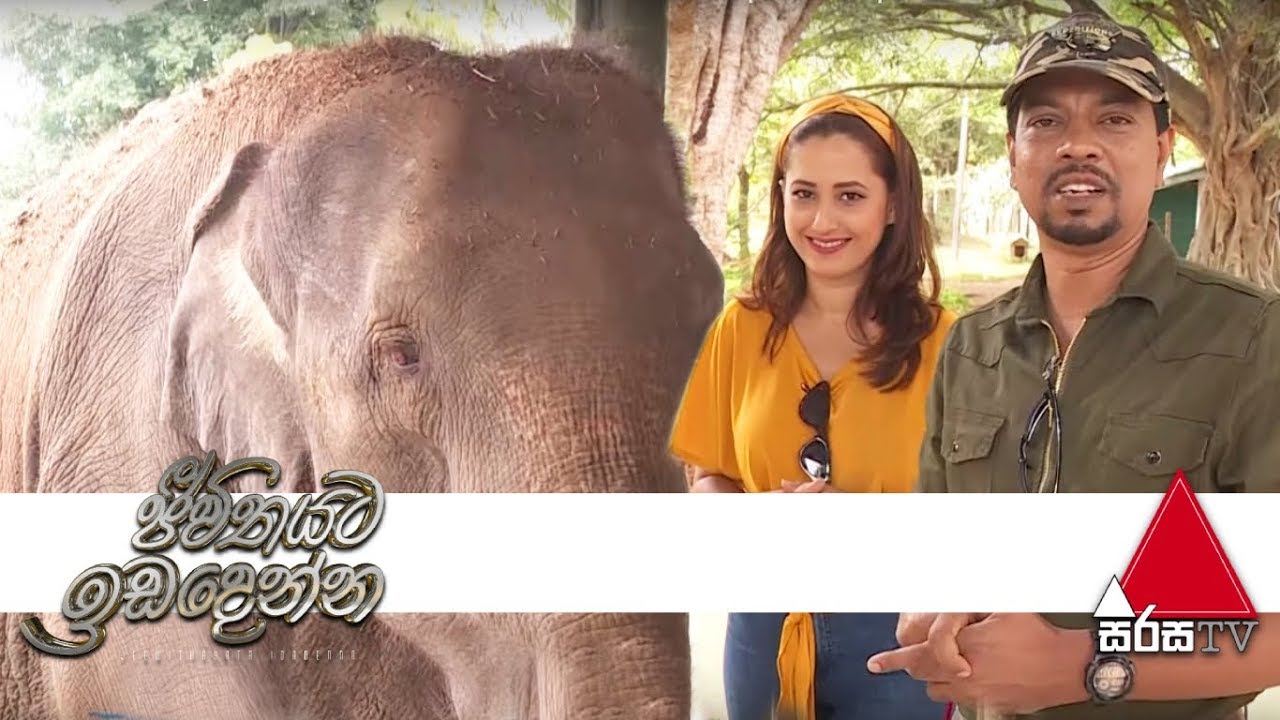 උඩවලව ඇත් අතුරු සෙවණට ගිය ගමනක් | Jeevithayata Idadenna | Sirasa TV | 04th October 2019