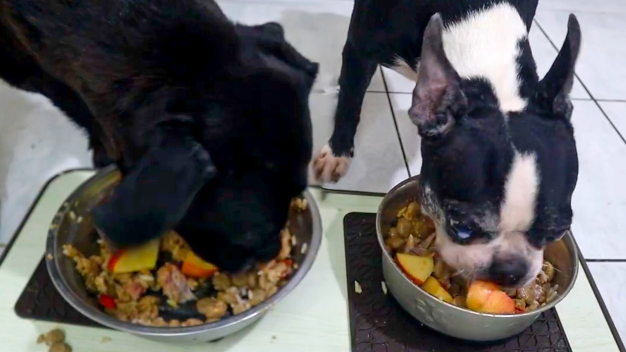 ASMR: EP2 – Hanna VS Nina: Mealtime Fun
