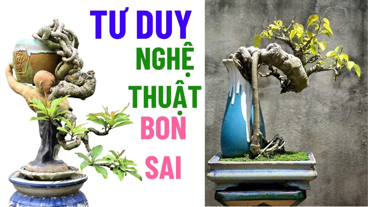 Tư Duy Nghệ Thuật Trong Bonsai – Thứ Quyết Định Đẳng Cấp Tác Phẩm#bonsai #caycanh #nghethuatbonsai
