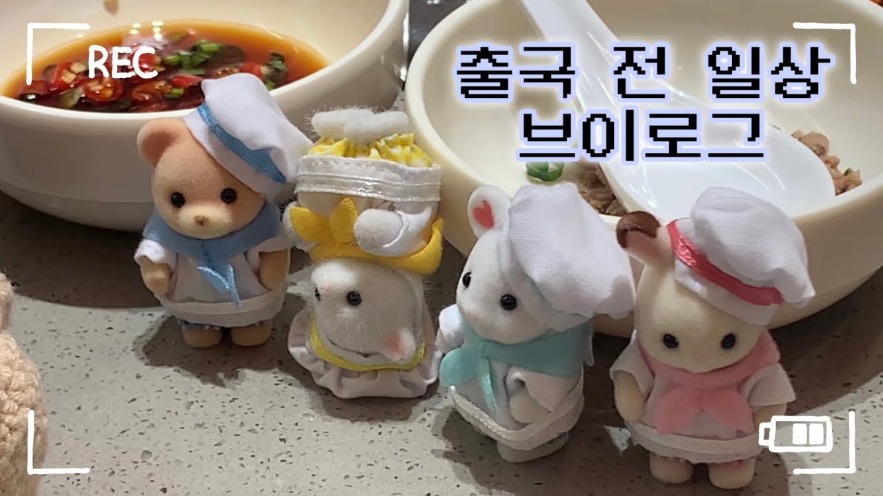 [vlog] 출국 전 일상 모음집