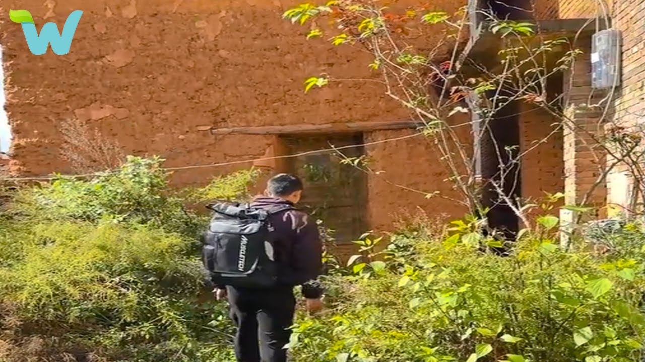 Poor boy clears weeds and renovates an abandoned dilapidated wooden house in the forest