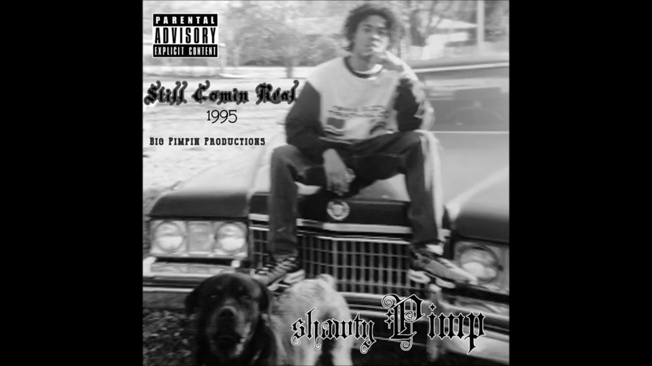 Shawty Pimp - Style Like Mine (instrumental)