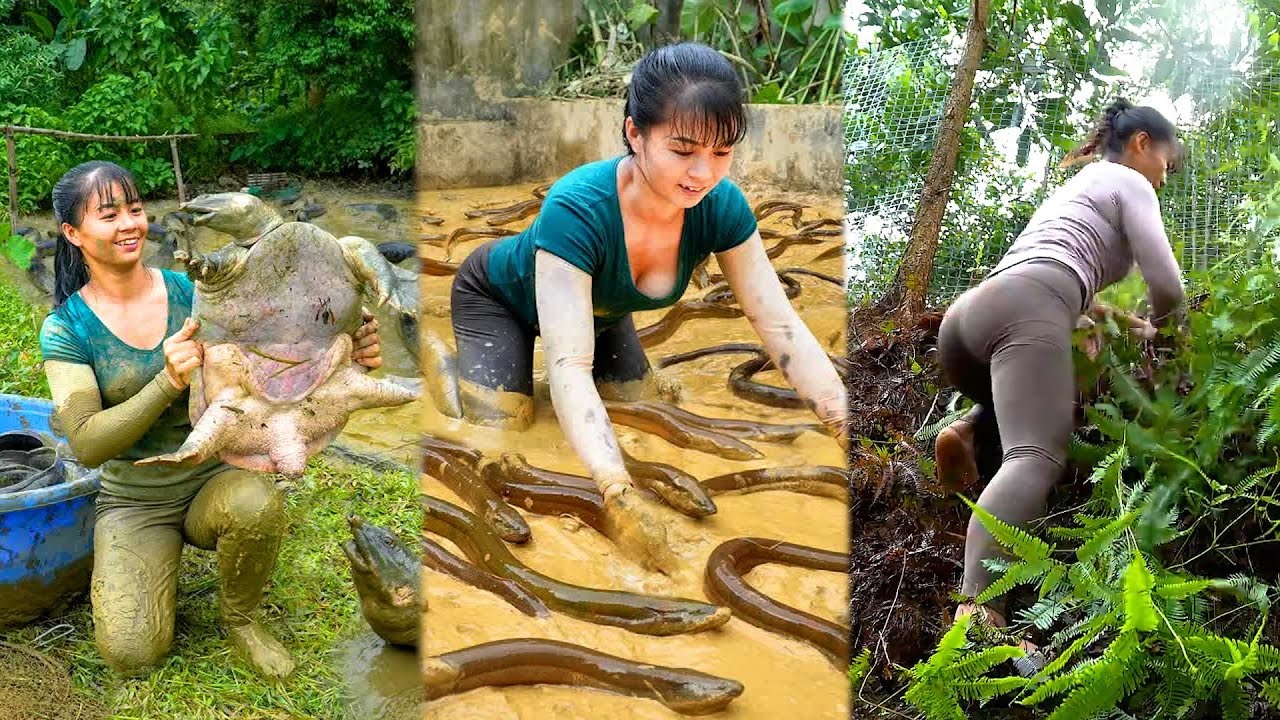 抓老鱉挖黃鱔，捕捉極品河魚，打造坑洞養雞，收羅各色水果，全能美女寶兒180天一次看爽！
