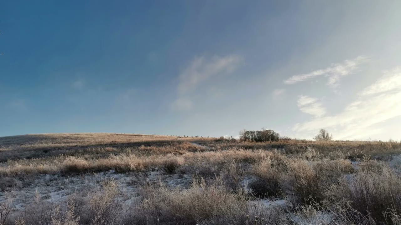 Frozen Fields