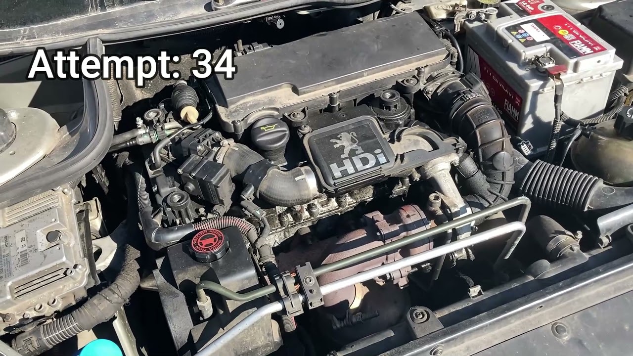 Starting / reviving dead Peugeot 206 1.4 HDI after 1 year + Test drive
