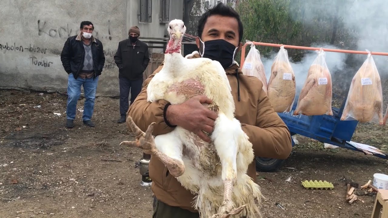 У Турции не так много места для продажи курицы на рынке ... официально возмущенный рынок