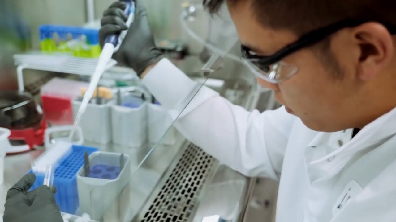 Partiti i primi test del potenziale vaccino finanziato da Bill Gates | Insider Italiano