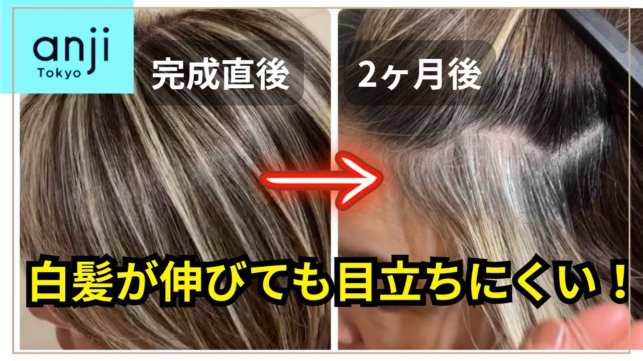 白髪ぼかしはハイライトのデザインで決まる！白髪が目立ちにくいカラーの作り方〈白髪ぼかしハイライト〉〈白髪を活かしたヘアカラー〉〈ボブヘアー〉〈ハイライトカラー〉(ブリーチハイライト〉