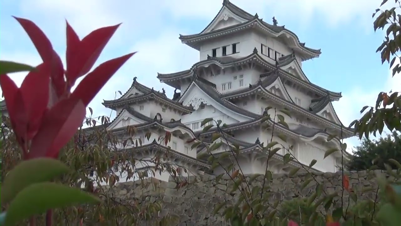 Kyoko San joue du Koto (promenade à Himeji-jo)