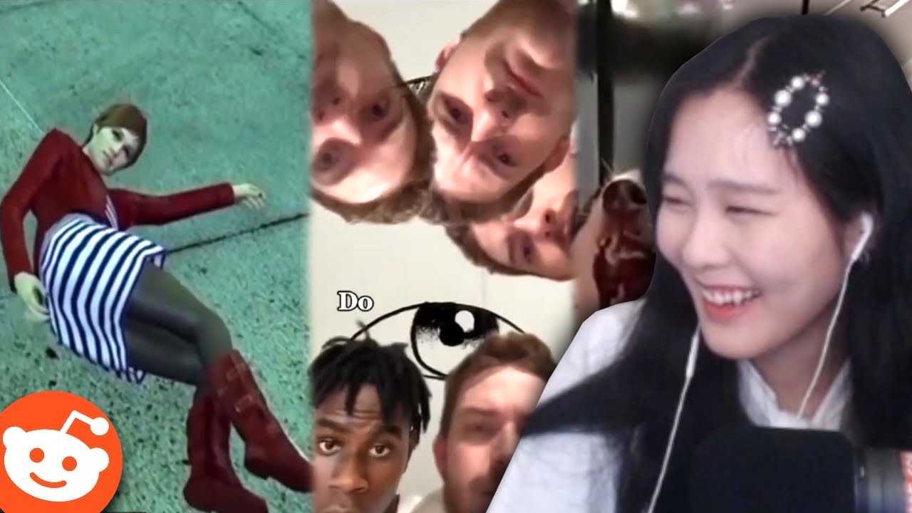reddit memes that actually made 39daph laugh part johnson | daph reacts