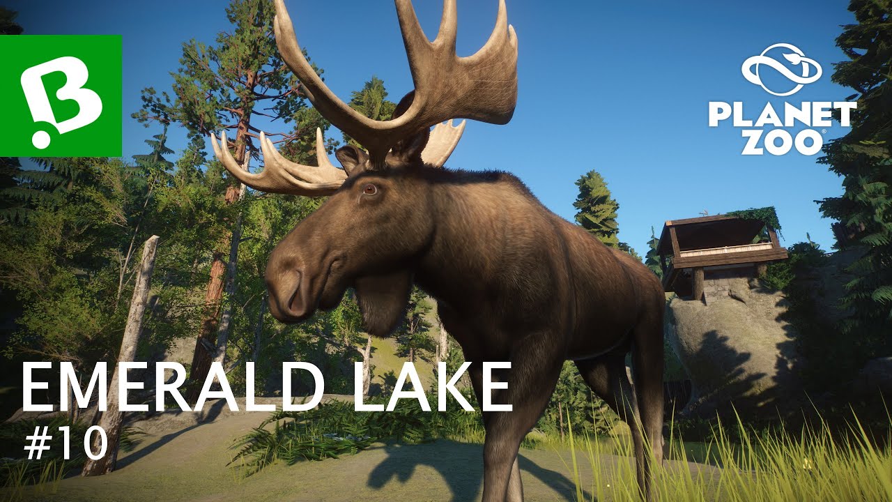 Losujeme krásný výběh | #10 | Planet ZOO CZ