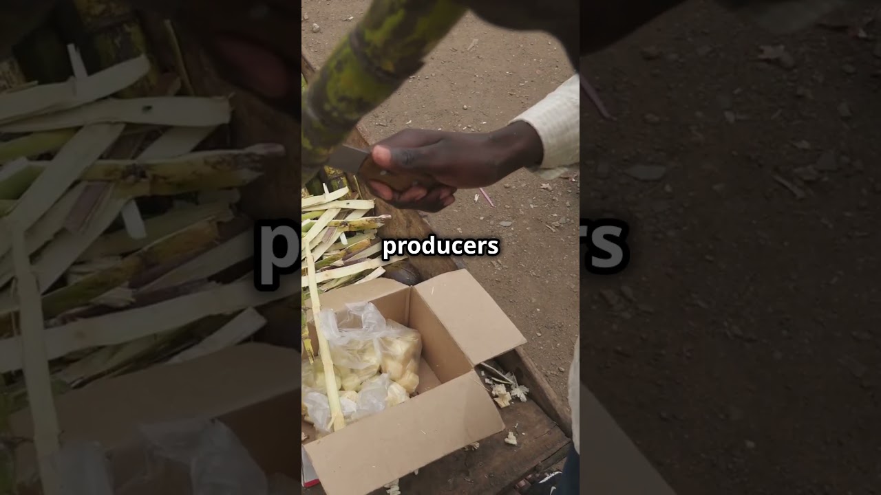 The Secret Behind the Global Sugar Shortage #commodities #earnbitcoin #cryptocurrency #crypto