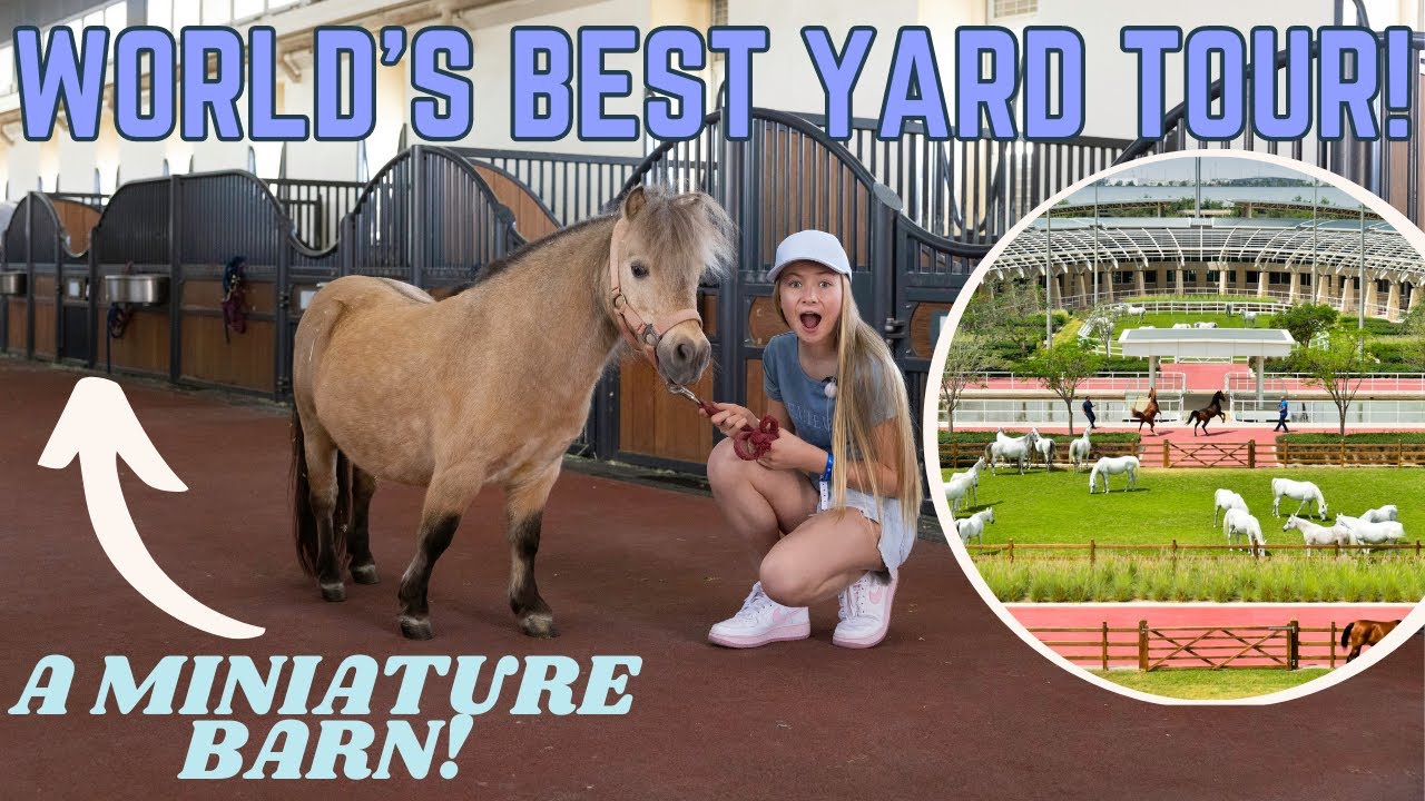 THE BEST EQUESTRIAN FACILITY IN THE WORLD?! AL SHAQAB STABLE / YARD TOUR