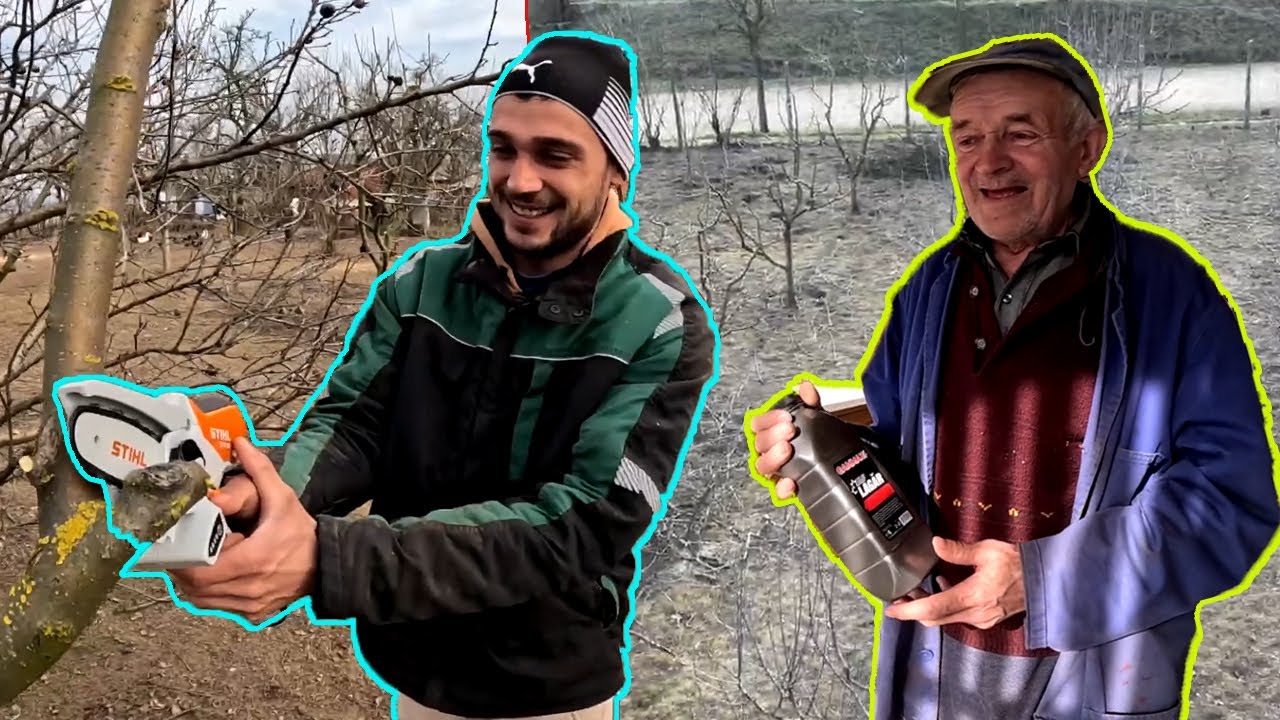 APJÁÉKAT METSZÉS KÖZBE LEPTEM MEG.🌳🌳