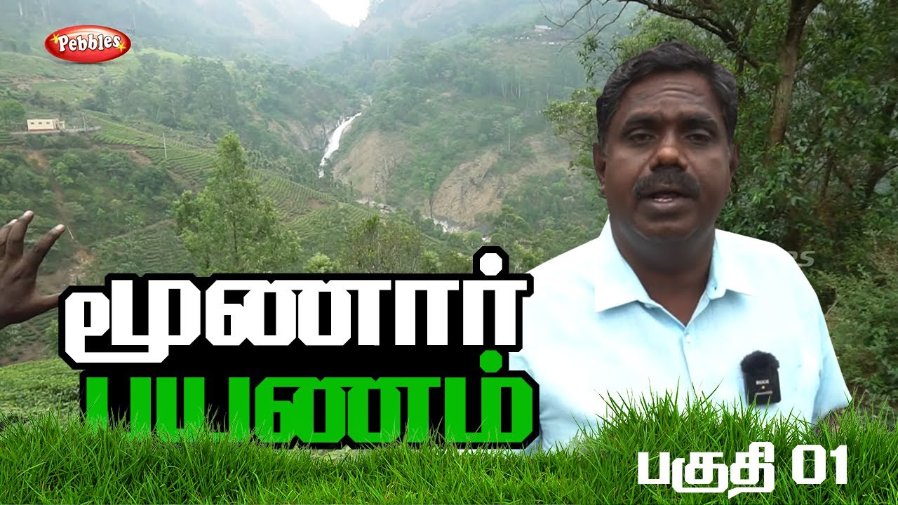 Munnar local sightseeing - Part 01 | மூணார் சுற்றுலா | Munnar Kerala | Munnar Travel Guide