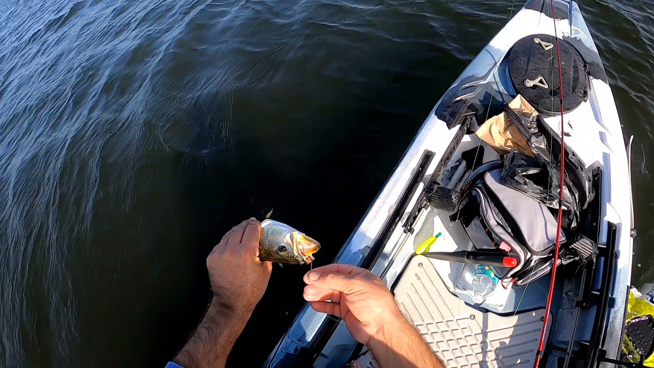 Slaying Puppy Drums And Speckled Trouts On Sound Side Cape Hatteras Outer Banks...Using Popping Cork