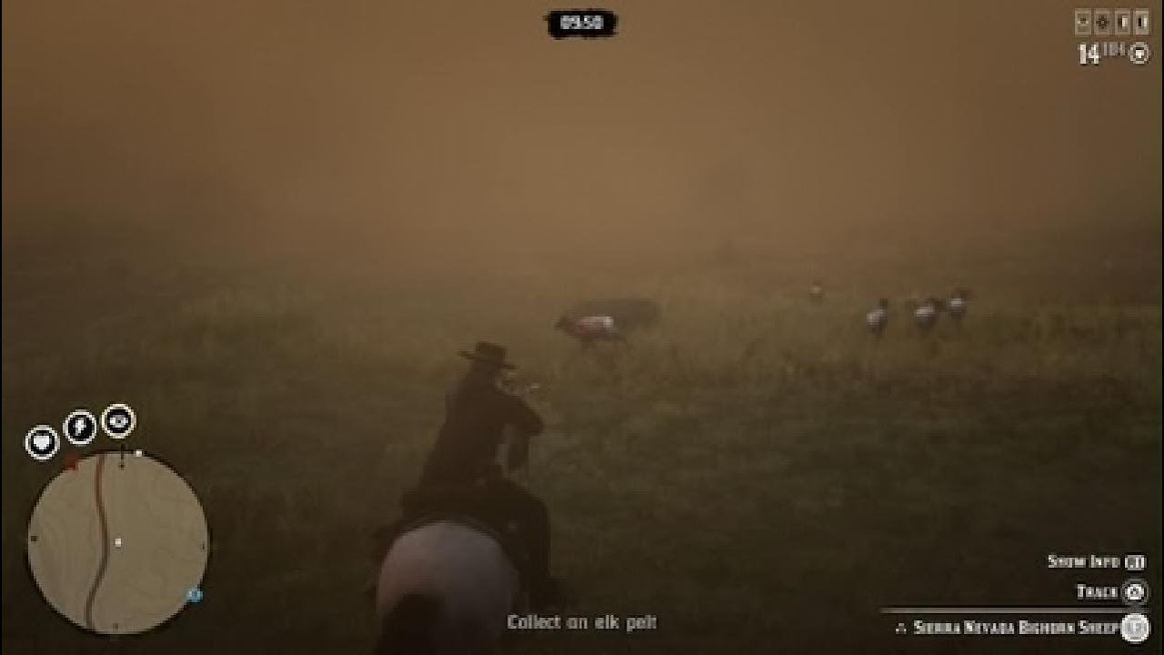 Red Dead Redemption 2_20260220225933