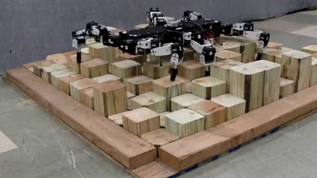 Hexapod Robot on Random Stepfield