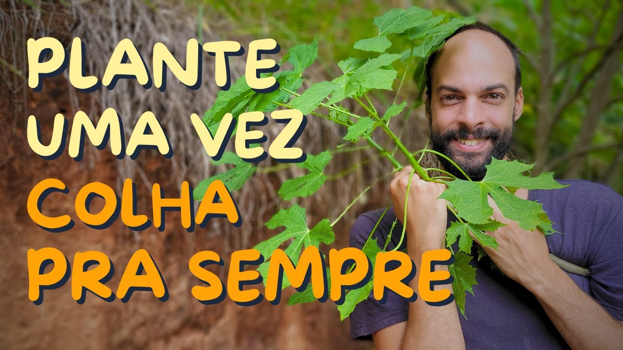 Vegetais PERENES que Você Precisa para Colher Ano Após Ano