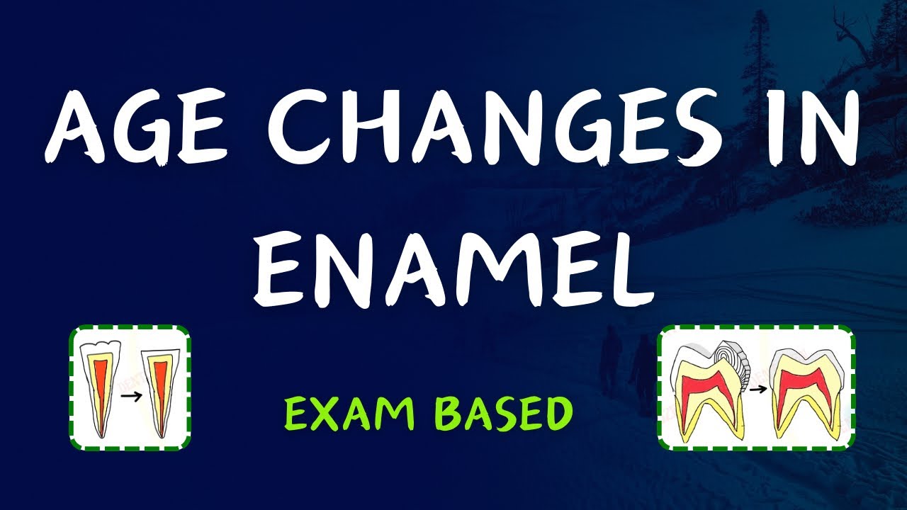How your Tooth Enamel Changes with AGE: Learn about Age Changes in Enamel