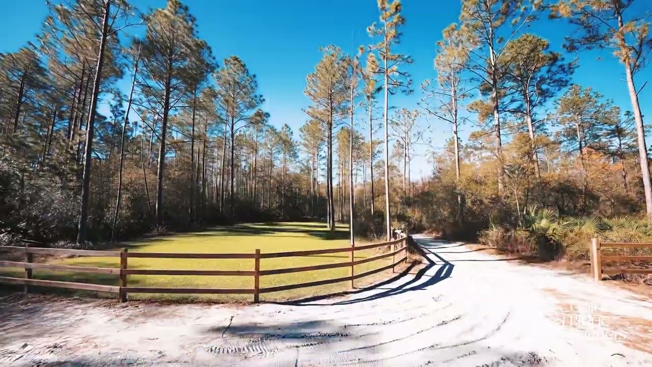 Golden Ridge Partners   1 03 09 27 7731 0140 0130