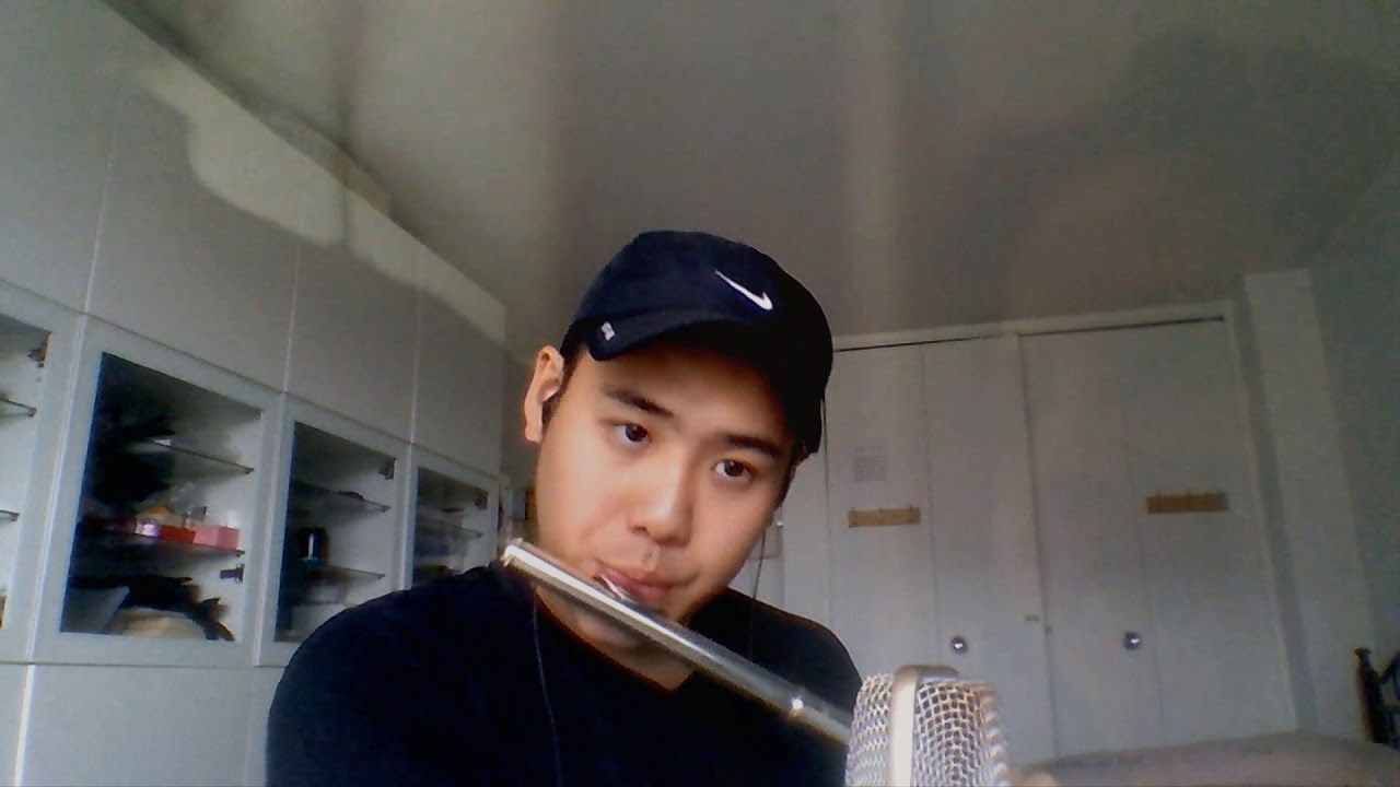 Lady Gaga & Bradley Cooper - Shallow (Flute Cover)