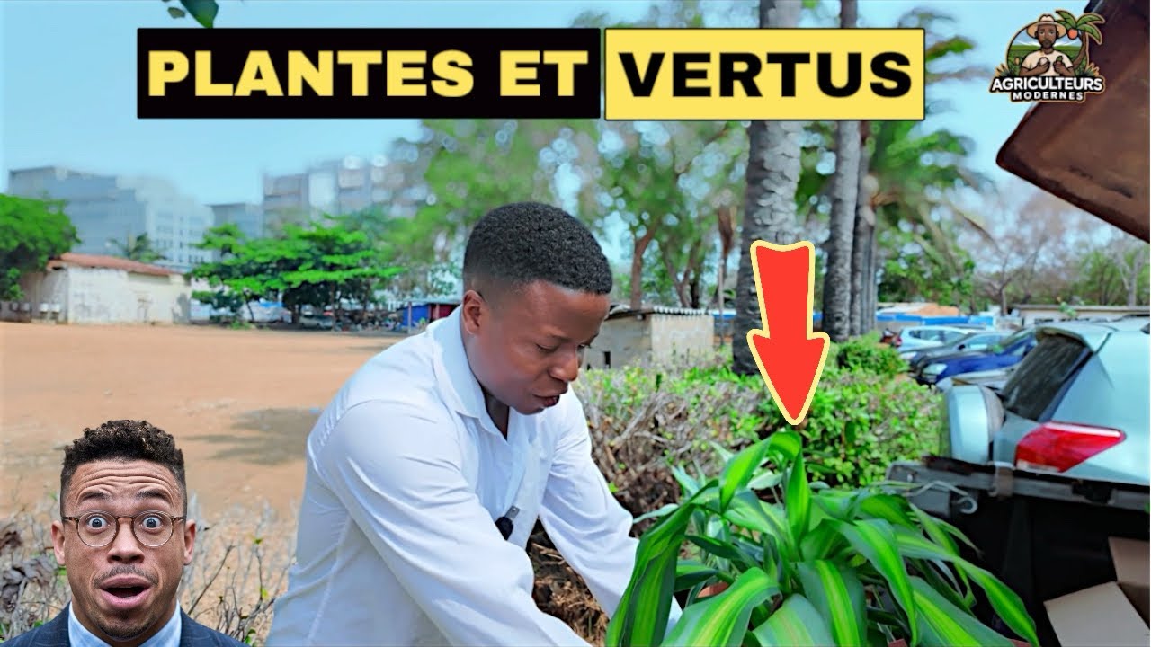 Ne vous attaquez jamais à ceux qui ont beaucoup de plantes.