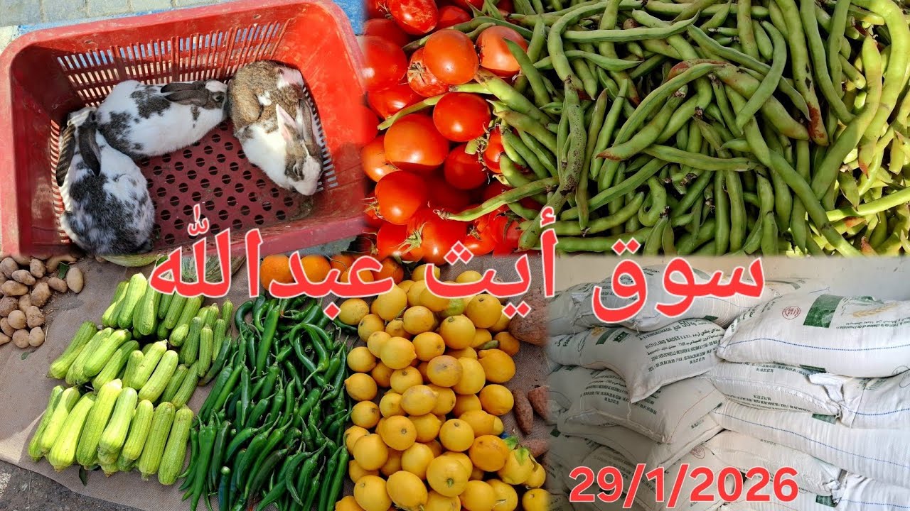 جولة في سوق الأسبوعي الخميس أيث عبدالله إقليم الحسيمة.🐓 🍅🐟 29/1/2026 Bni Abdellah