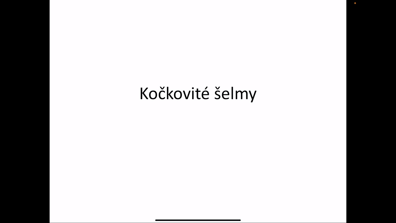 Kočkovit&eacute; &scaron;elmy