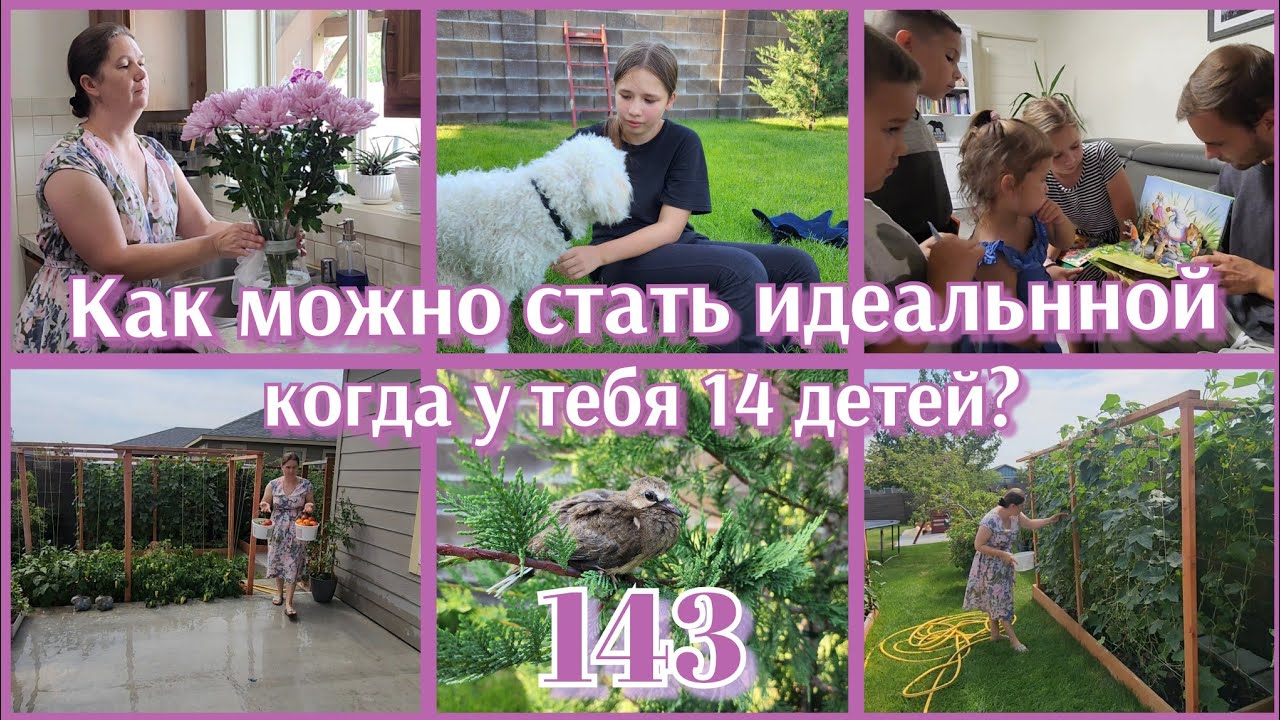 Я НЕ ИДЕАЛЬНАЯ МАМА, А ВЫ?●ДЯДИ БАЛУЮТ ПЛЕМЯНИКОВ●ЭЛОИЗА МЕЧТАЕТ БЫТЬ ВЕТЕРИНАРОМ●#143