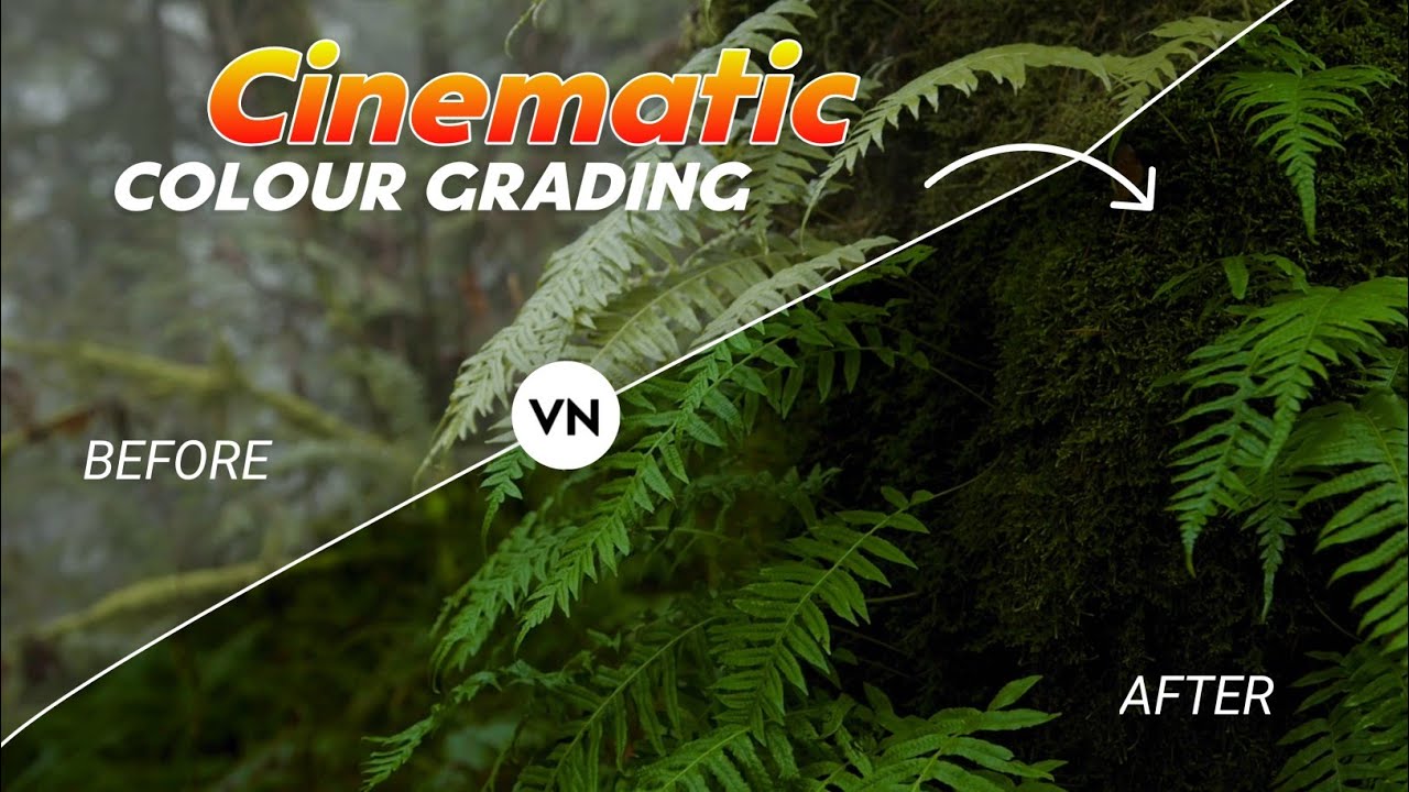 Vn Colour Grading Tutorial | Cinematic Colour Grading In Android | Vn App Editing
