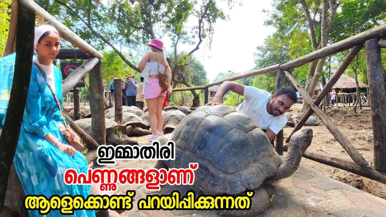 എല്ലാ നാട്ടിലും കാണും ഇതുപോലെ കുറെയെണ്ണം | Zanzibar Prisoners island, Tanzania