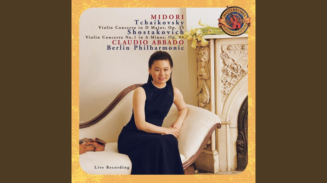 Violin Concerto in D Major, Op. 35, TH 59: I. Allegro moderato - Moderato assai
