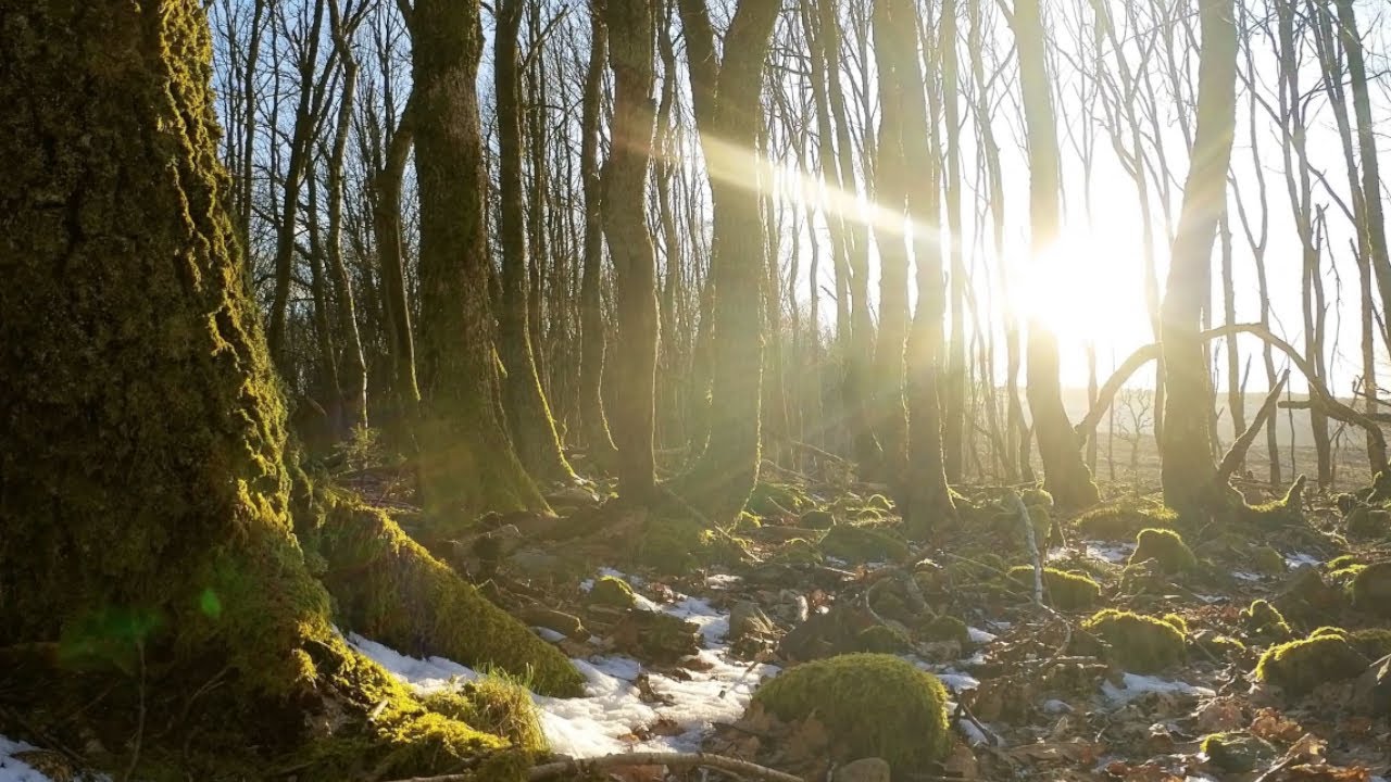 Westerwald - Daaden
